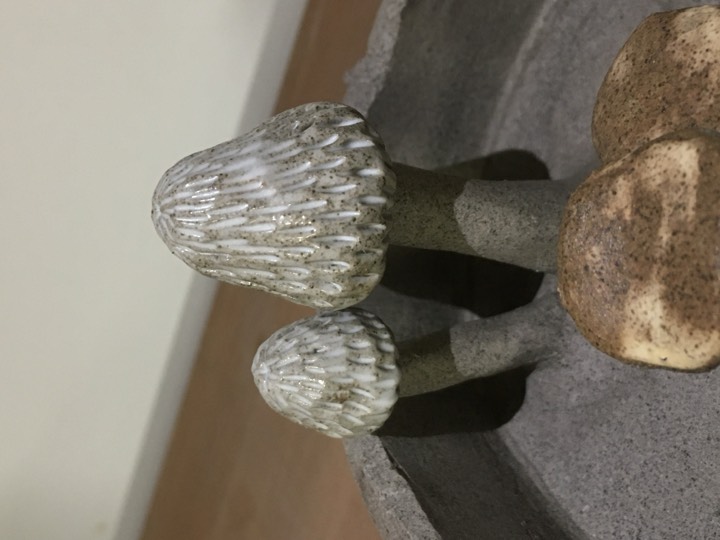 TimTim Ceramic kézzel készített kerámia